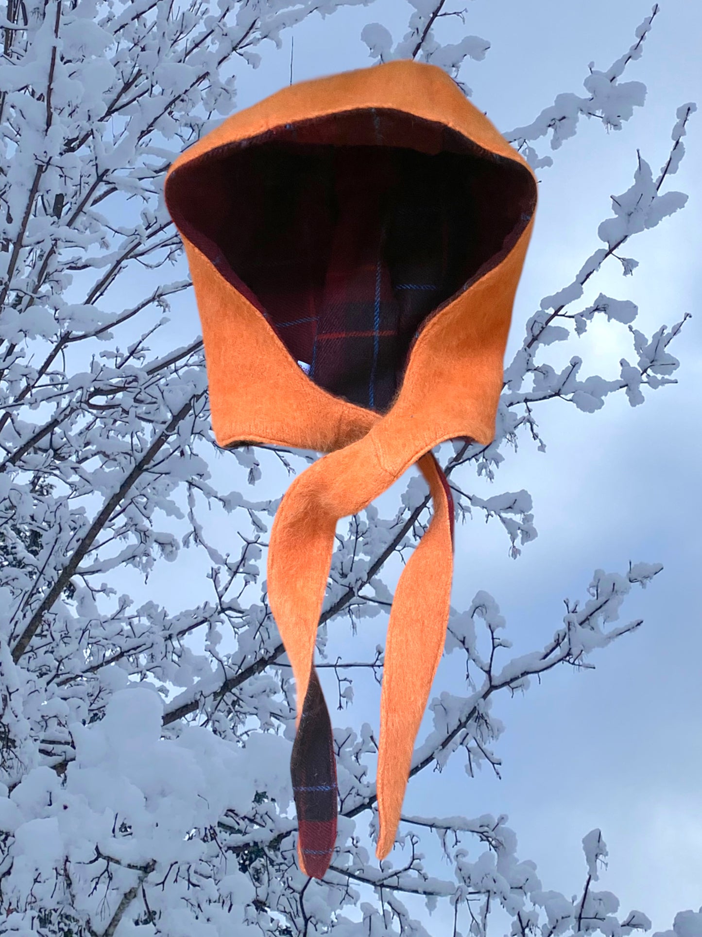 Winter Bonnet