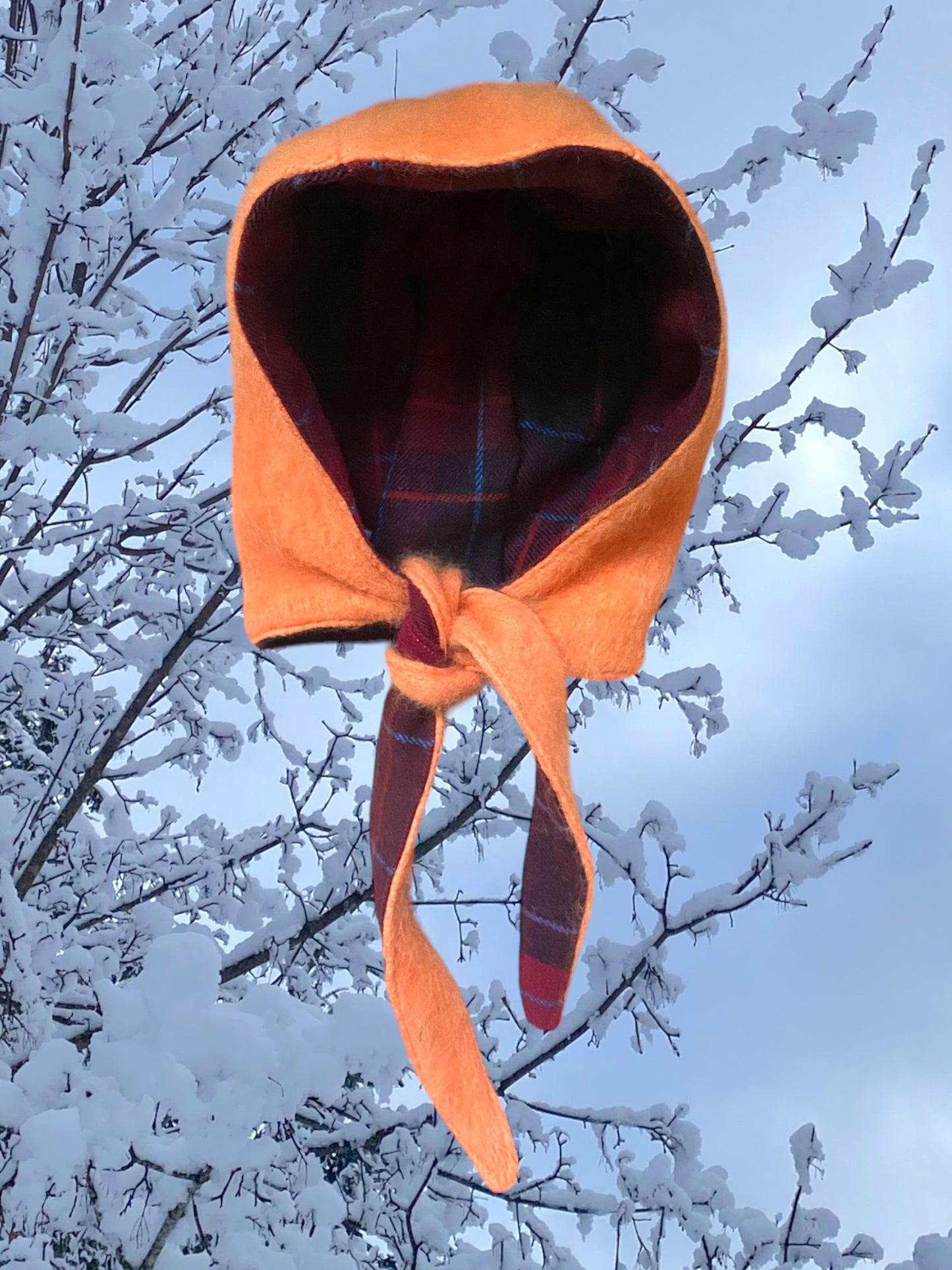 Winter Bonnet