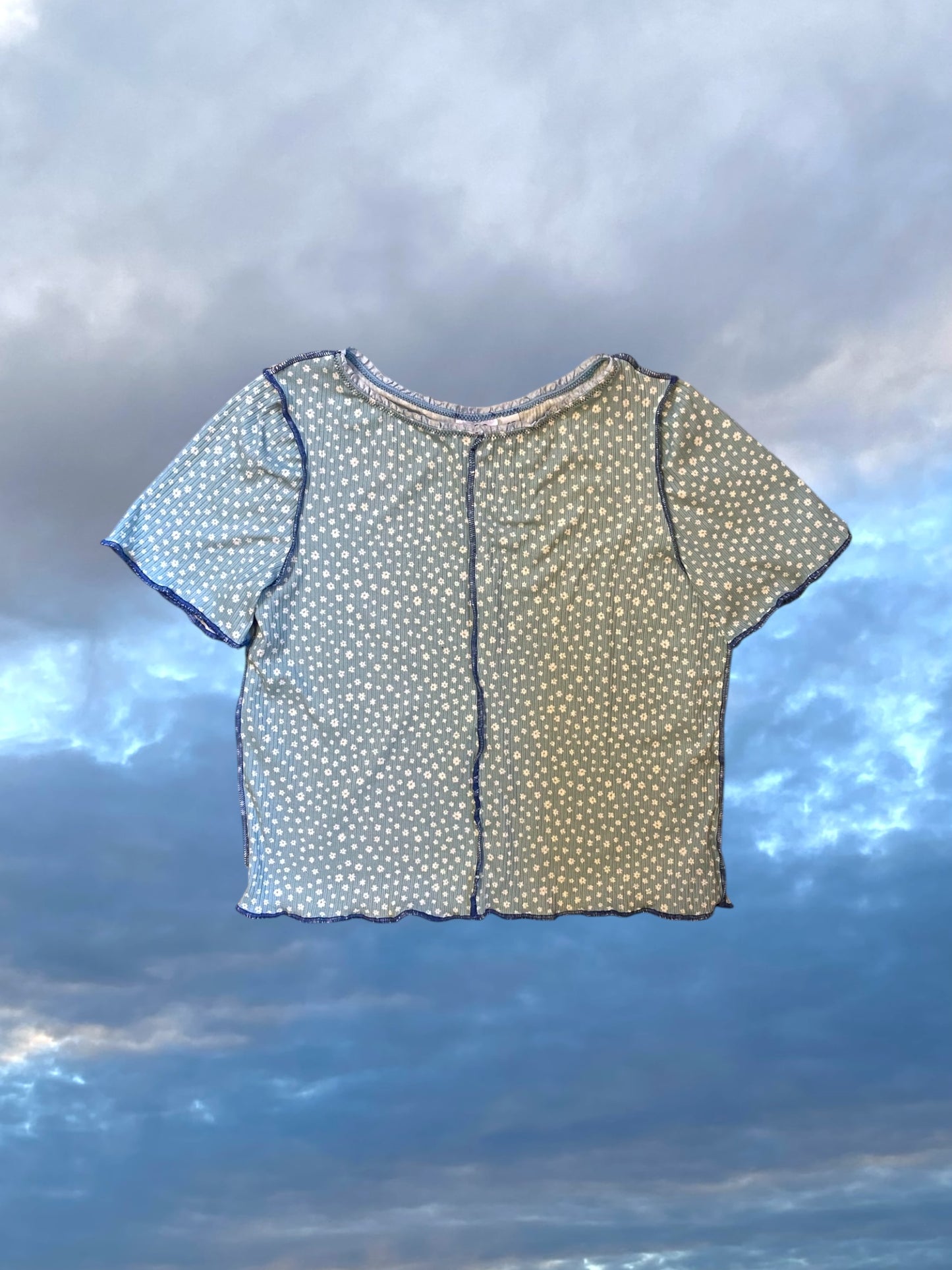 Blueberry Baby T