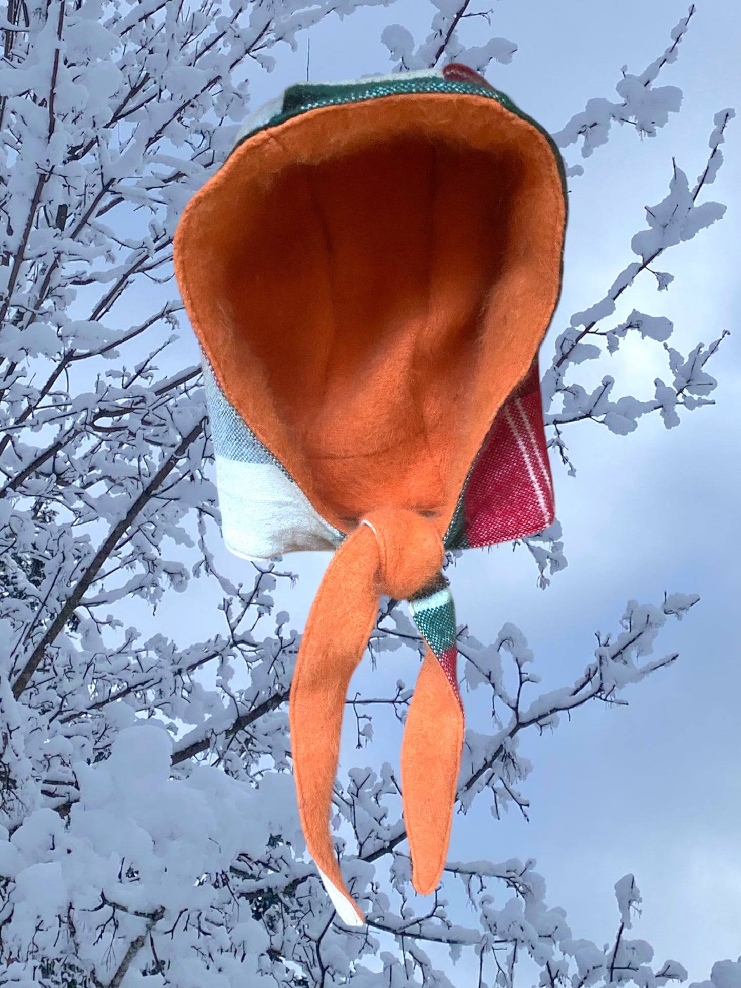 Winter Bonnet