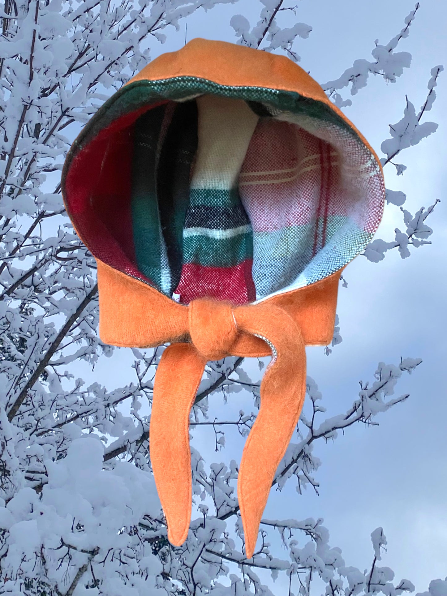 Winter Bonnet