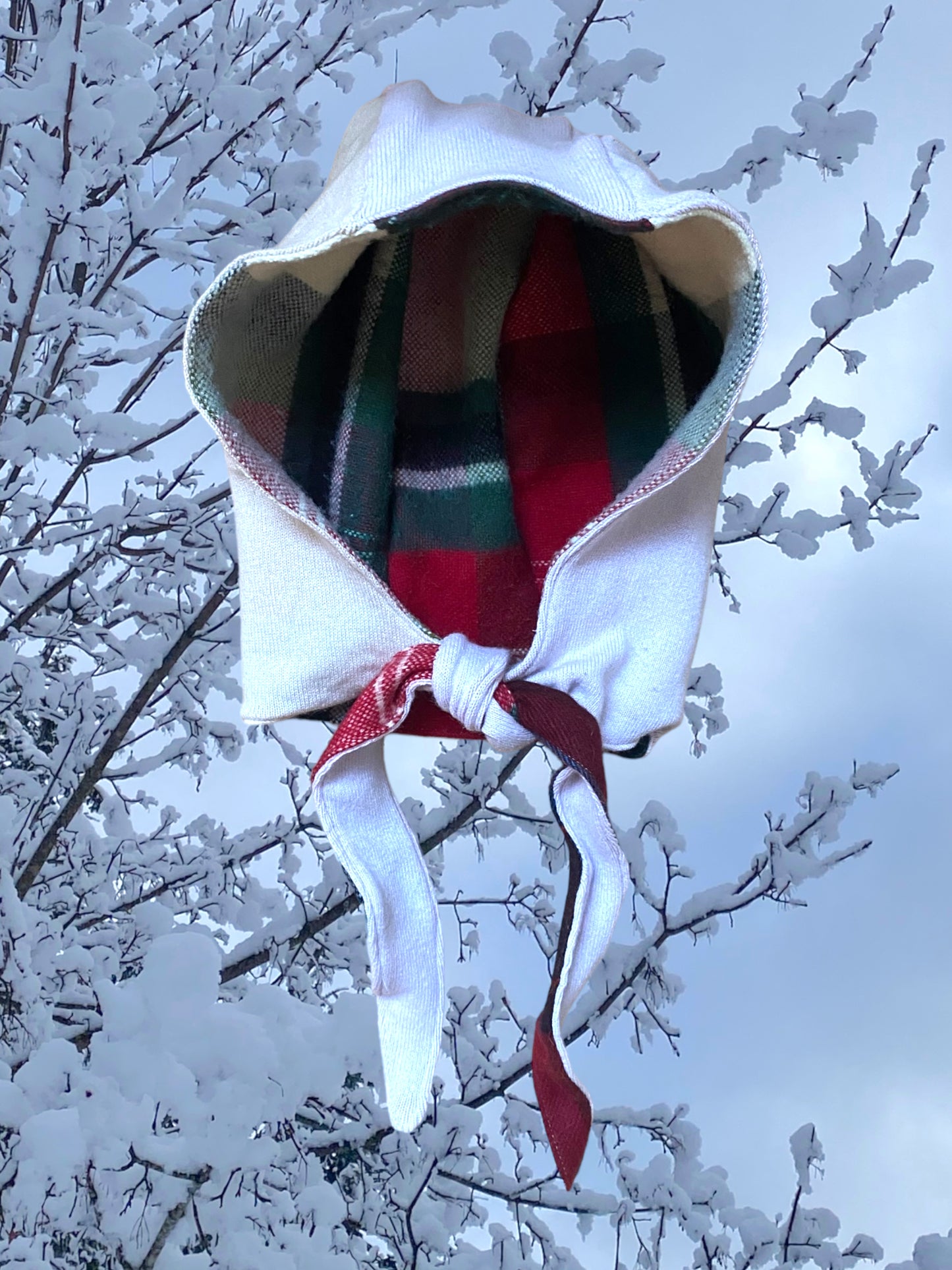 Winter Bonnet